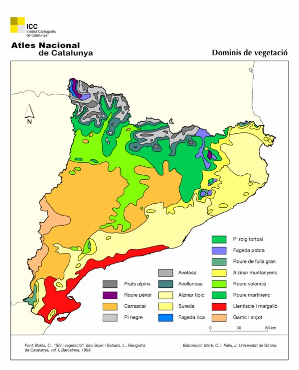 els-boscos-i-arbres-de-catalunya